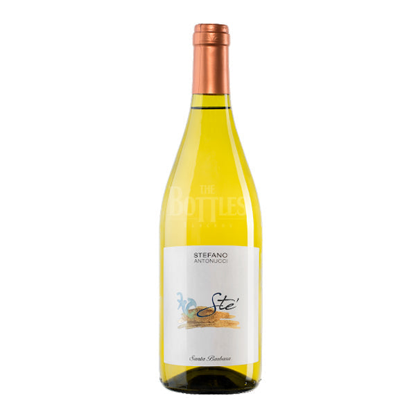Santa Barbara Verdicchio dei Castelli di Jesi STÈ