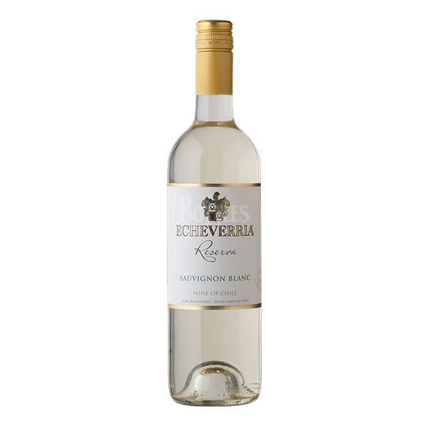 Echeverria Reserva Sauvignon Blanc